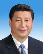 第十一届全国人大第一次会议当选为中华人民共和国副主席